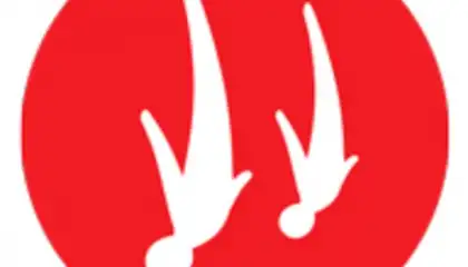 Veriflite