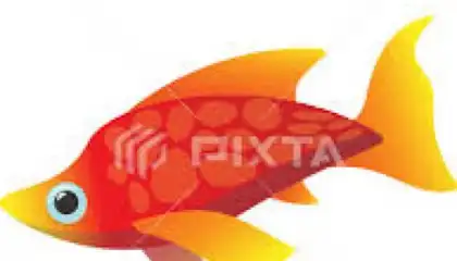 FISHER