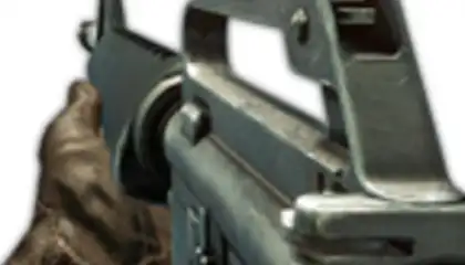 Gun Camera
