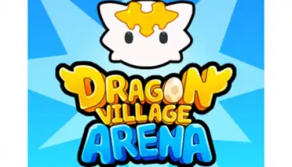 Dragon Village Arena