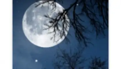Расслабьтесь ночь